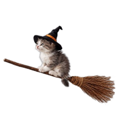 broom cat flying